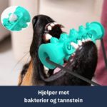 hundeleke med tannpleie illustrasjon med hund som biter og tekst hjelper kot bakterier og tannstein