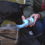 for og drikkeflaske til hund blå illustrasjonsbilde med hund som drikker vann fra beholder