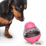 hjernetrim leke til hund dispenser rosa med hund som ser på og vurderer leken