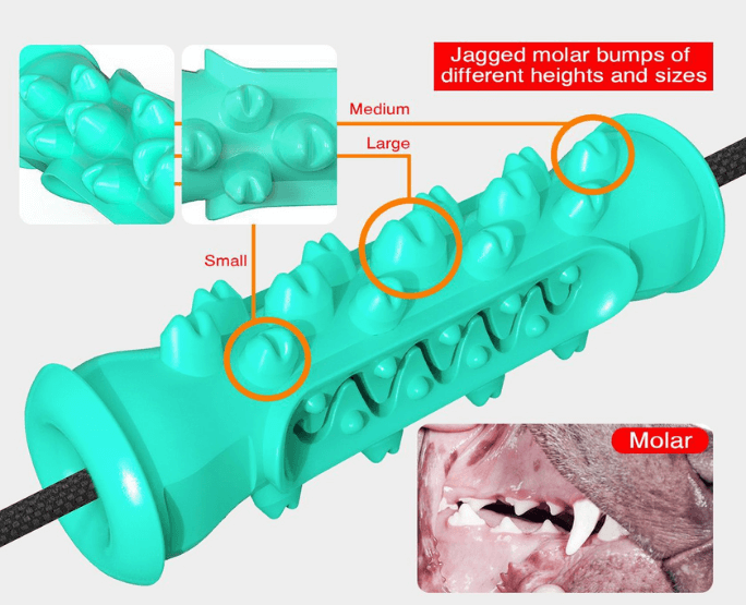 Ftannpleie hundeleke forklaringsbilde med illustrasjon av en hund sin munn og tannkjøtt