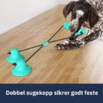 hundeleke dobbel sugekopp illustrasjon med hund som bruker leketøyet når det er festet på parkett gulv inne med to sugekopper