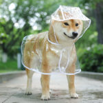 regndekken til hund regnfrakk på hund produktbilde