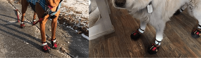potesokker vinter antiskli bilde med hunder som bruker produkt