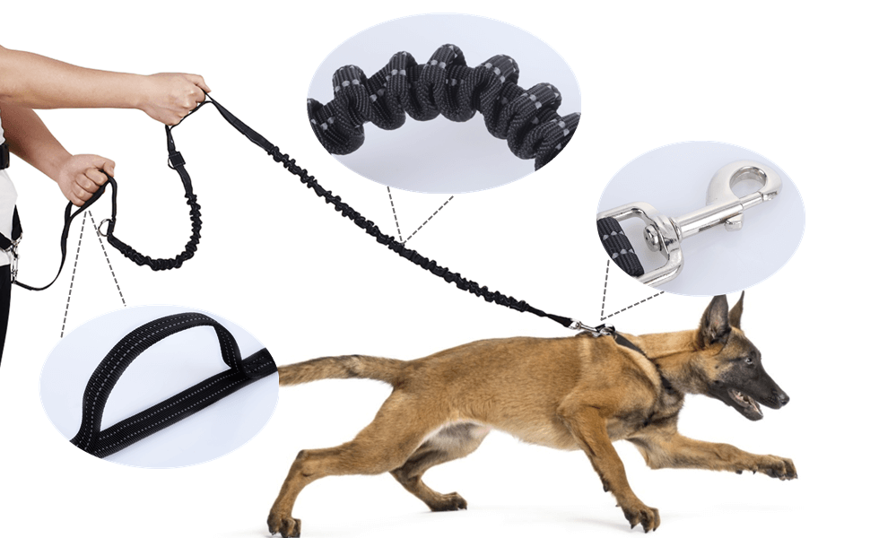magebelte til hund illustrasjon av bruker funksjonalitet med hund
