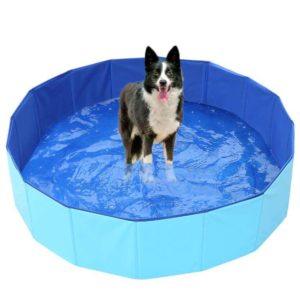 hundebasseng blå aquadog