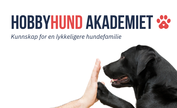 hobbyhund akademiet banners