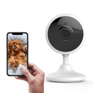 Wifi Hundekamera kamera til hund