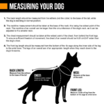 hurtta casual y sele detaljert beskrivelse av fremgangsmetode for mål av hund til å finne korrekt størrelse