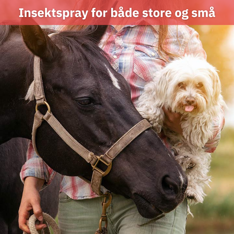Bilde av en hund, en hest og ett menneske som bruker insektspray