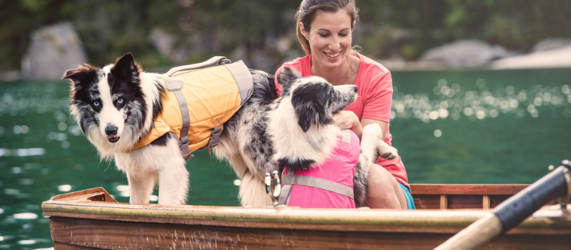 2 hunder med redningsvest på i robåt med dame som smiler flytevest fra hurtta life savior oransje i bruk