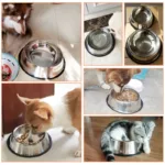 6 Size Pet Dog Cat Bowls Stainless Steel Feeding Feeder Water Bowl for Pet Dog Cats Puppy Outdoor Food Dish XS/S/M/L/XL/XXL 3