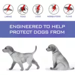 SEISSO Dogs Mosquitoe Repellent Collar Pet Antiparasitic Anti Flea Tick Collar For Small Large Dog Cat Leash RetractabAccessorie 4