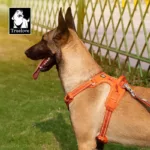 TRUE LOVE Pet Harness No Pull Nylon Reflective Dog Harness Adjustable Comfortable Control Step-in Brilliant Truelove TLH5654 6