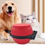 1-piece 2-in-1 foldable dual bowl feeding bowl portable outdoor travel dog and cat drinking bowl 2