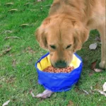 1100ML Big Volume Dog Drinking Container Foldable Dog Water Bowl Food Storage Bag Outdoor Hiking Travel Folding Pet Bowl 5