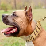 32MM Wide Strong Metal Dog Chain Collars Stainless Steel Dog Choker Pitbull Gold Dog Necklace For Large Dogs 3