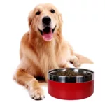 A circular stainless steel fashionable plain color anti slip pet cat bowl and dog bowl for indoor and outdoor use 2