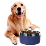 A circular stainless steel fashionable plain color anti slip pet cat bowl and dog bowl for indoor and outdoor use 3