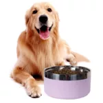 A circular stainless steel fashionable plain color anti slip pet cat bowl and dog bowl for indoor and outdoor use 4