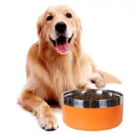 A circular stainless steel fashionable plain color anti slip pet cat bowl and dog bowl for indoor and outdoor use 5