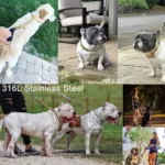 Dog Leash Pet Collar Lead Stainless Steel Super Strong Gold Collar Chain Customized 32mm Bulldog Pitbull Large Dog Collar Leash 6
