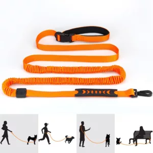 Hands Free High Qulity Retractable Hands Free Dog Leash For Running Dual Handle Bungee Leash Reflective For Large Pet Supplies 1