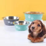 Non-slip Dog Bowls For Small Medium Large Dog Feeder Bowls And Drinkers Stainless Steel Pet Feeders Pets Dogs Accessories 2