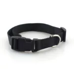 Nylon Adjustable Dog Collar Heavy Duty Clip Buckle Pet Collar for Small Medium Dogs Chihuahua Dog Red Black Blue Purple 4
