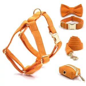 Orange Pet Collar and Leash Set for Boy Dogs Small Medium Large Dogs Harness Personalized ID Fully Adjustable Bow Tie Collar XL 1