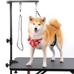 Pet Foldable Grooming Bracket Adjustable Steel Suspender Grooming Table Arm Support Dog Cat Holder Desk Pet Accessories 강아지미용 2