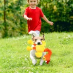 Pets Dog Toys Screaming Chicken Sound Toy Puppy Bite Resistant Chew Toy Interactive Squeaky Dog Toy Puppy Dog Accessories 6