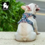 Truelove Pet Harness Small Medium Large Split Dog Fashion Outdoor Dropshipping 5