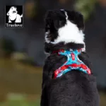 Truelove Pet Harness Small Medium Large Split Dog Fashion Outdoor Dropshipping 6